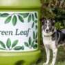 Peppermint Oil Safe for Dogs